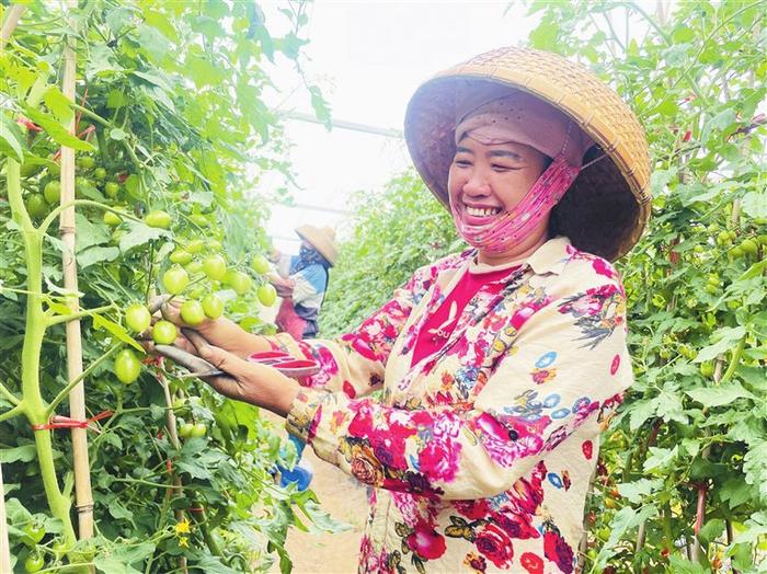 春色满园关不住 瓜果飘香溢鹿城——记者实地探访中国种子大会暨南繁硅谷论坛地展