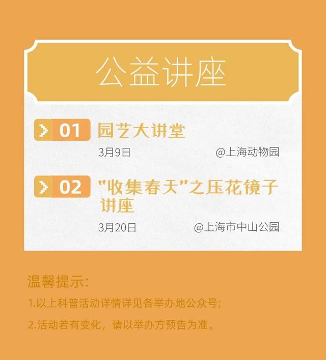 春花陆续登场~怎么迎春？戳3月科普月历→