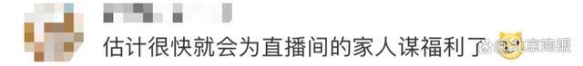 小杨哥公司法务离职，本人回应……网友：想做第二个董宇辉？