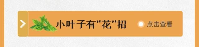 春花陆续登场~怎么迎春？戳3月科普月历→