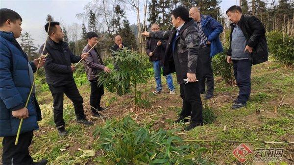 李瑞林：竹笋要有销路 群众要有收入