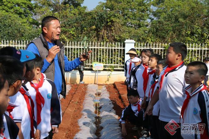 云南建水：以劳动教育开启不一样的“开学第一课”
