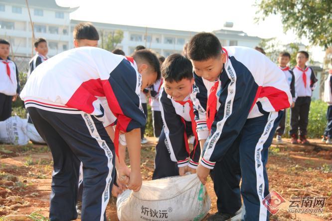 云南建水：以劳动教育开启不一样的“开学第一课”
