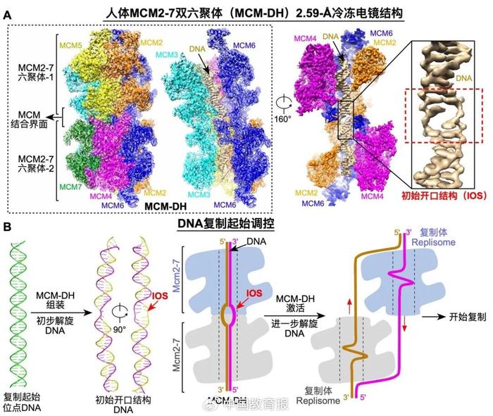 2023年度中国科学十大进展发布！多项成果由高校主导或参与联合攻关