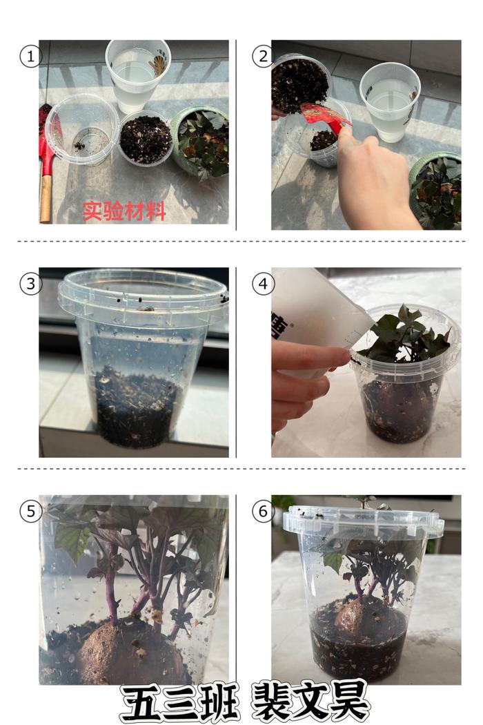 缤纷寒假 其乐“龙龙” 管城回族区外国语牧歌小学科学低段假期作业展示