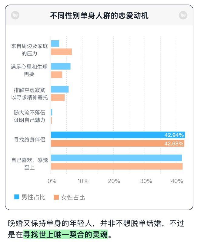 没结婚的年轻人，原来是想找终身伴侣?青藤之恋揭示当代年轻人婚恋压力