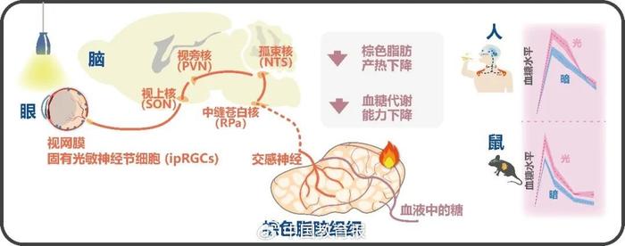 2023年度中国科学十大进展发布！多项成果由高校主导或参与联合攻关