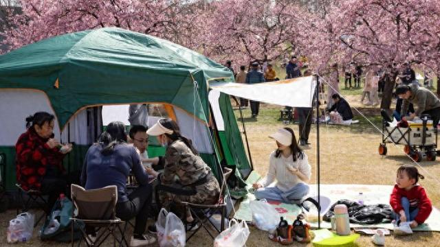 上海哪些公园能搭帐篷、遛狗、放风筝？官方查询功能上线