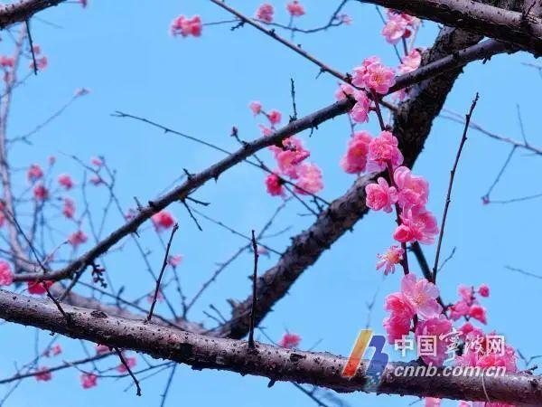 宁波2月份降水量破纪录，11天日照时数累计仅4.3小时