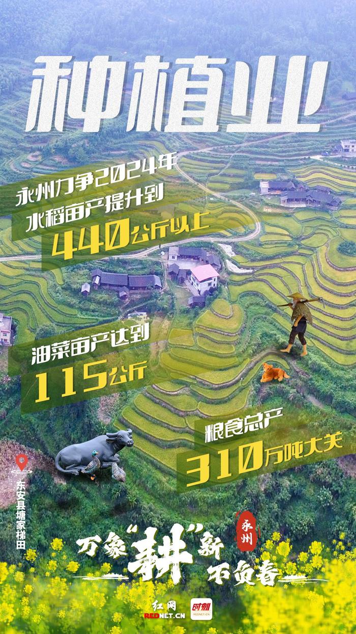 海报丨看准了就抓紧干，数读2024永州农业新目标