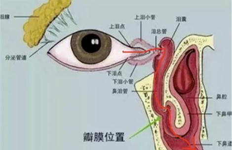 眼睛里没揉出来的脏东西，最后都去哪儿了？眼里进异物，劝你别做这两个动作……