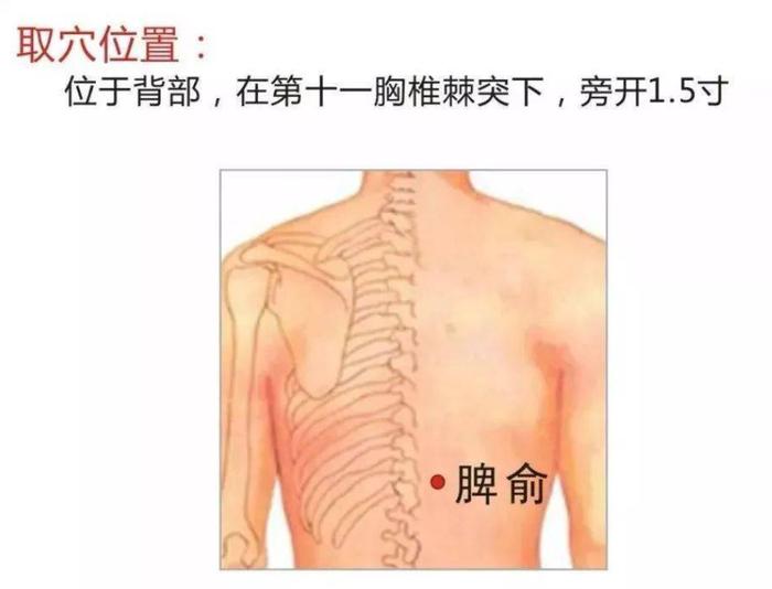 一个食疗方，专调你的脾胃不适！