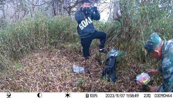 如何分辨大熊猫 高科技“大脸ber”识别来帮忙｜世界野生动植物日