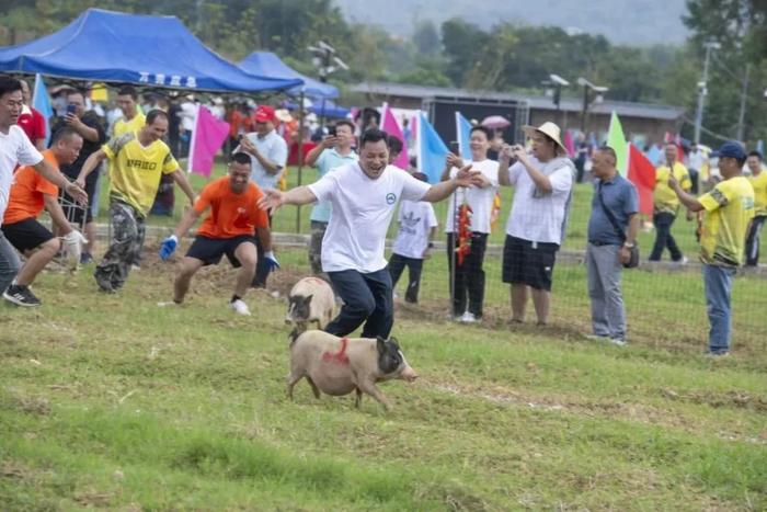 锚定目标任务“再奋斗”丨今年万秀区力争谋划项目总投资达300亿元以上