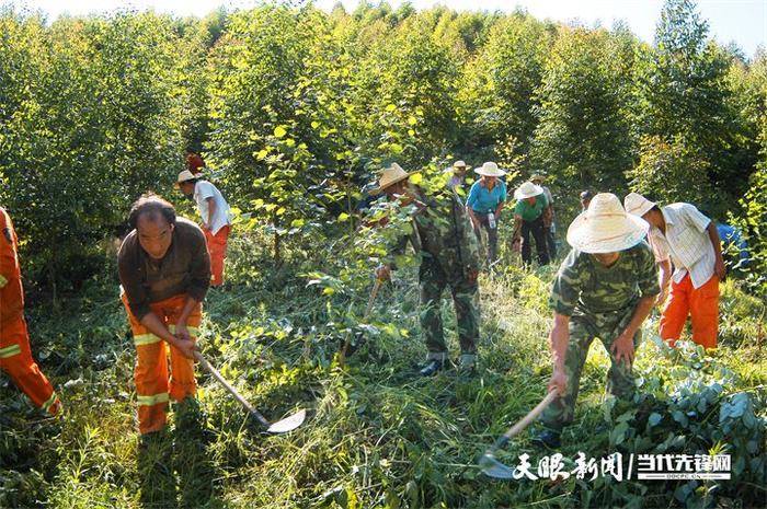 贵州生态魔方④｜“四”季常青 “石”破天惊