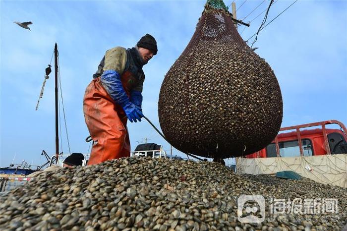 视觉山东一周图选+名家点评（2024年第10期）