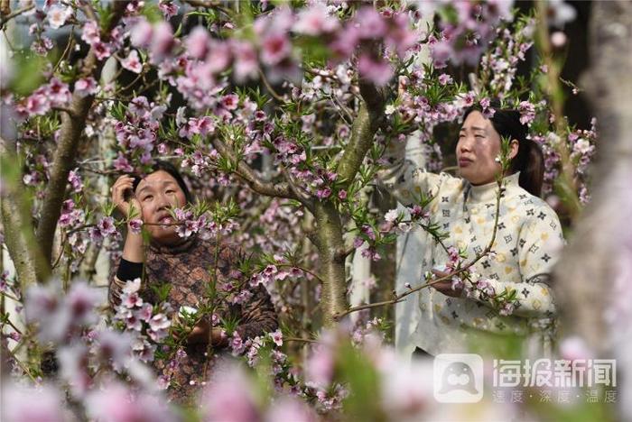 视觉山东一周图选+名家点评（2024年第10期）