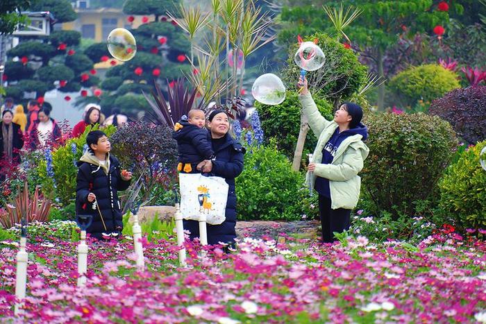 走，踏青赏花去！南宁市花卉公园多种草本植物花卉盛开
