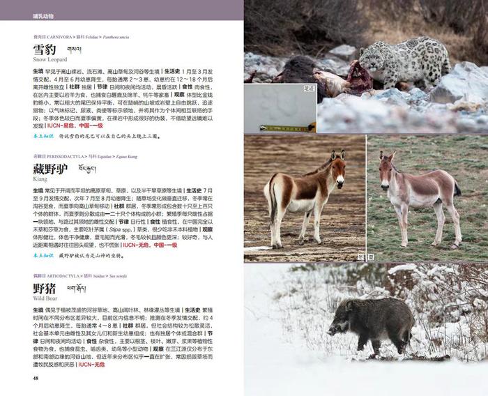 华泰证券支持出版的《三江源国家公园自然图鉴》入选科技部优秀科普作品