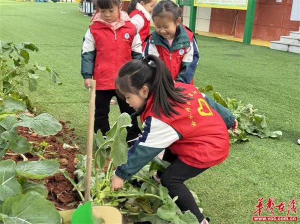 银象幼儿园：阳春三月学雷锋 幼儿园里树新风