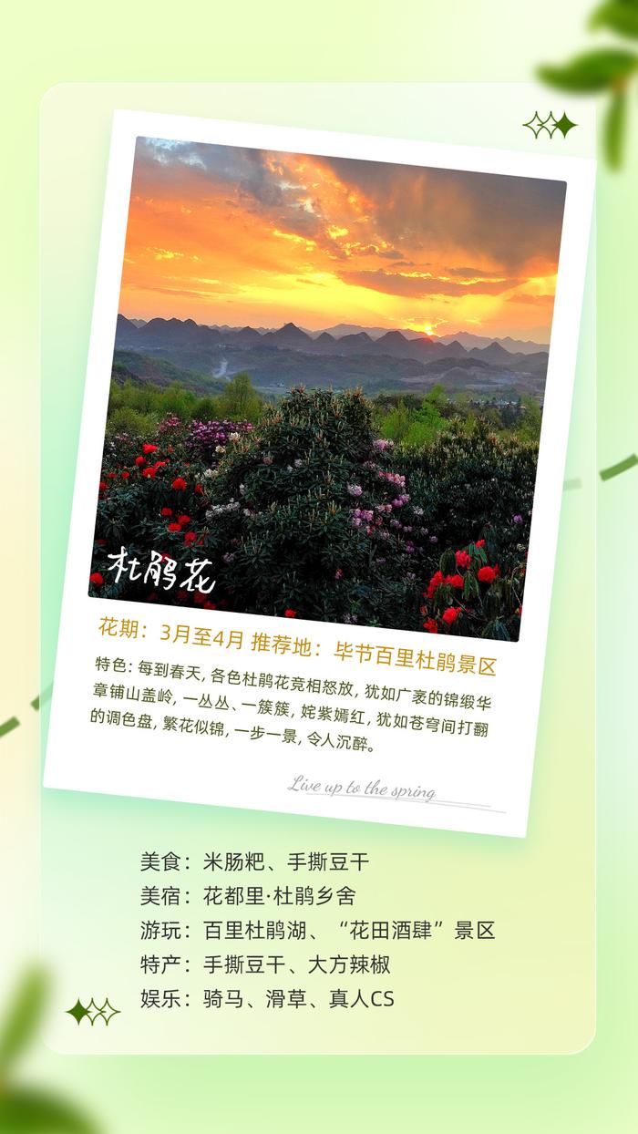 多彩贵州·花漾中国|到贵州上春山 不负良辰美景