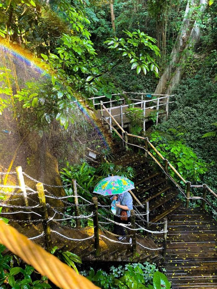 优惠门票 专属活动 深圳旅游企业为女性送上3·8节福利