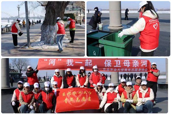 东农追“锋”人，在雷锋日，更在每日