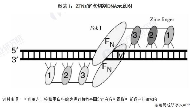 2024年中国基因编辑技术发展趋势分析 CRISPR/Cas优势明显【组图】