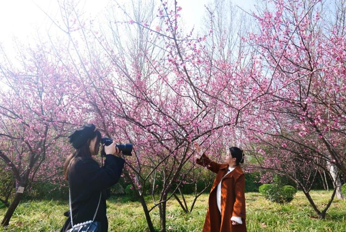 向女神致敬，郑州绿博园3月8日对全国女士免门票！