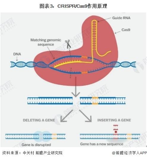 2024年中国基因编辑技术发展趋势分析 CRISPR/Cas优势明显【组图】