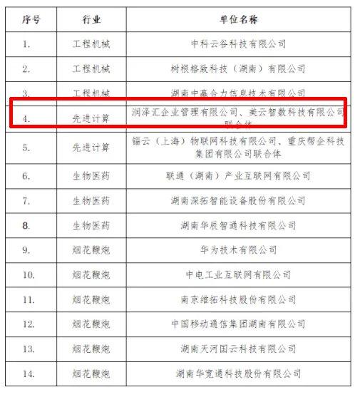 热烈祝贺润泽汇被认定为长沙市细分行业中小企业数字化转型集成服务商！