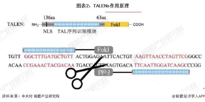 2024年中国基因编辑技术发展趋势分析 CRISPR/Cas优势明显【组图】