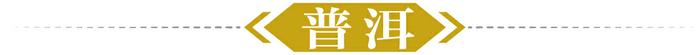 两会策划丨“云新闻+州融县融”大联动：春天，我在云南等你③春“美”云南