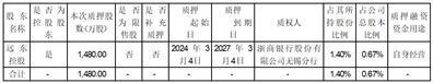 证券代码：600869    股票简称：远东股份    编号：临2024-012