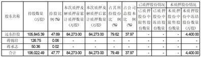 证券代码：600869    股票简称：远东股份    编号：临2024-012