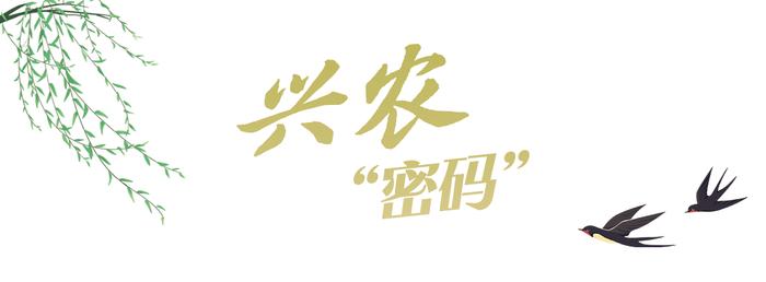 平“语”近人，揭示中国发展“密码”