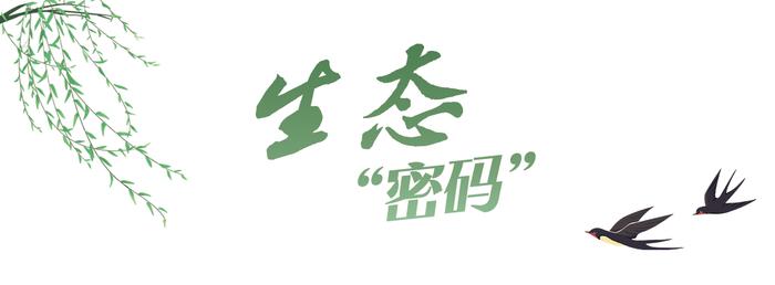 平“语”近人，揭示中国发展“密码”