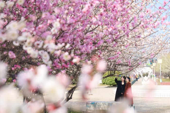 向女神致敬，郑州绿博园3月8日对全国女士免门票！