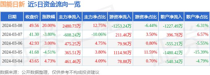 3月8日国能日新涨停分析：国产软件，储能，智能电网概念热股