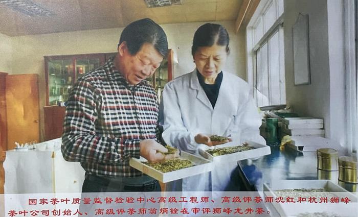 2024年第一口鲜！「贵如金」的明前茶，懂茶的人都在抢这杯，喝到就赚到