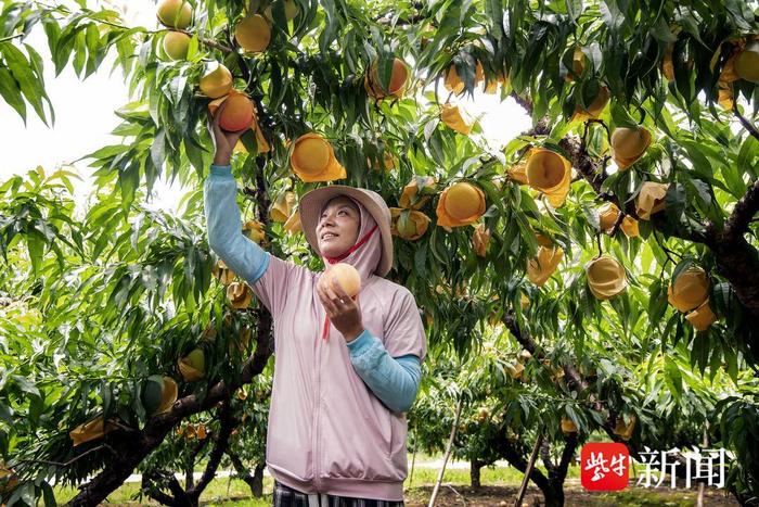 春风习习启新程丨无锡桃源村：实现“桃源梦”，就是要绿水青山富乡亲！