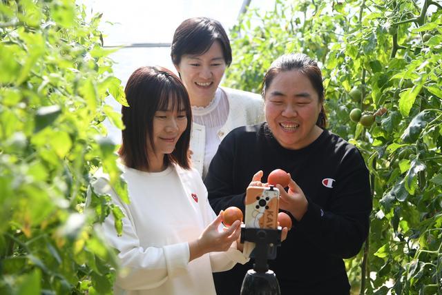 两会·从基层一线到人民殿堂丨乡村电商达人岳巧云的履职故事