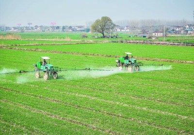 清沟排水、除草施肥、保养农机—— 春耕田管正当时