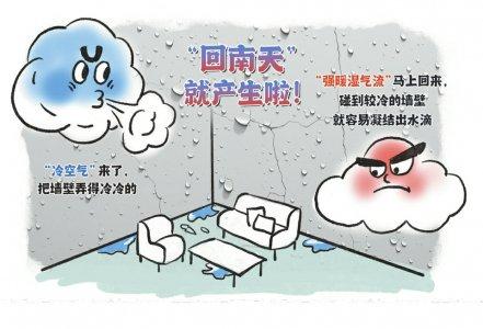 墙壁“冒汗”家具“滴水” 回南天是个什么天？