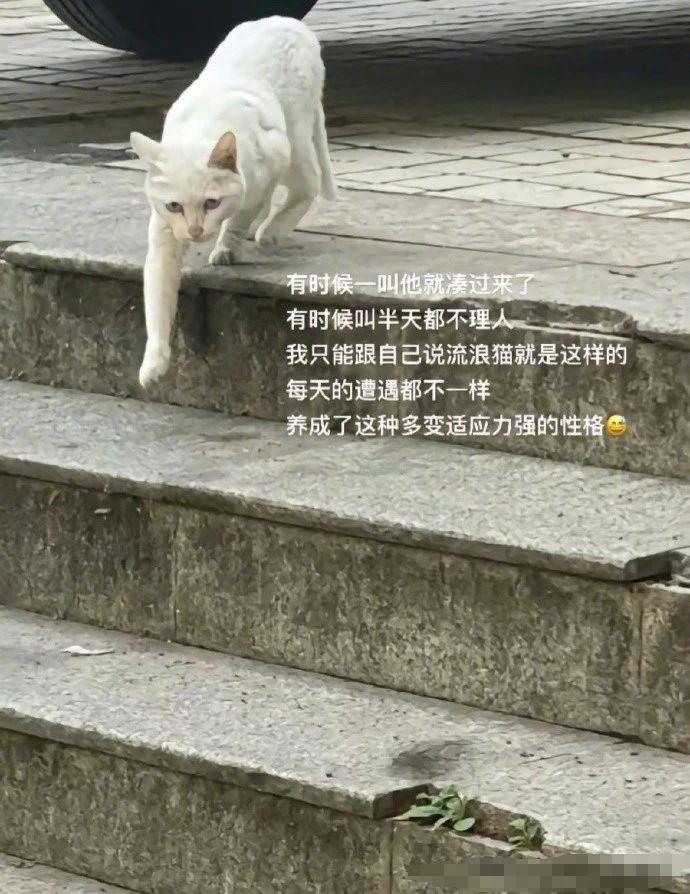 “千万不要半场开香槟”什么意思？哈哈哈哈哈话果然不能说得太满啊……