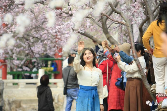 期待 | 桃花节超全攻略！这两个公园明起暂时闭园，别跑空！