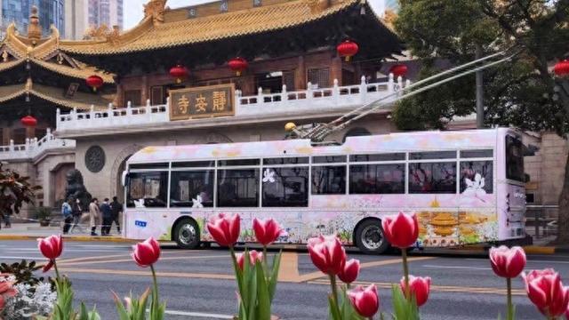上海5条公交线路披上春日限定“皮肤”，东方明珠移动电视喊你坐花车赏花去