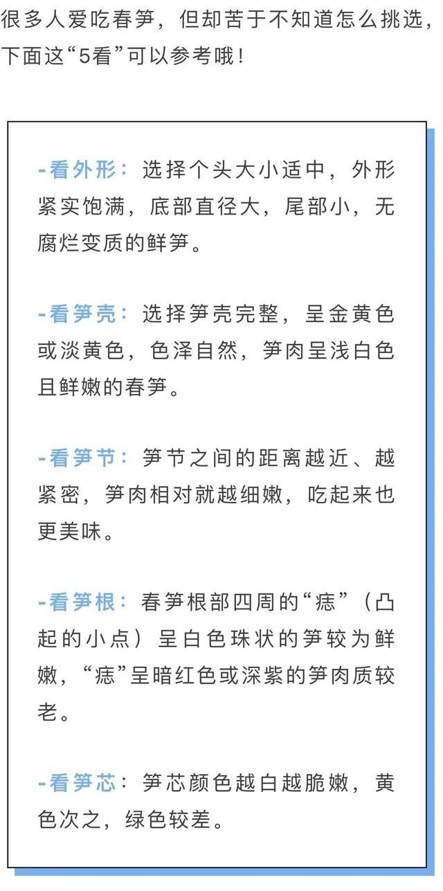 劝你多吃春笋的理由，1个就够了