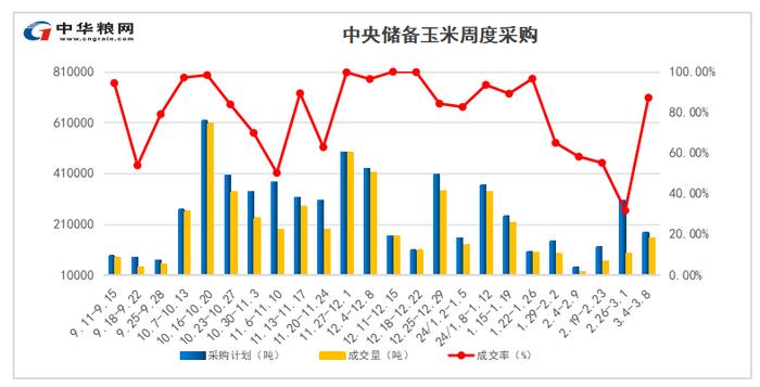 中央储备玉米招标采购缩量 成交率提高