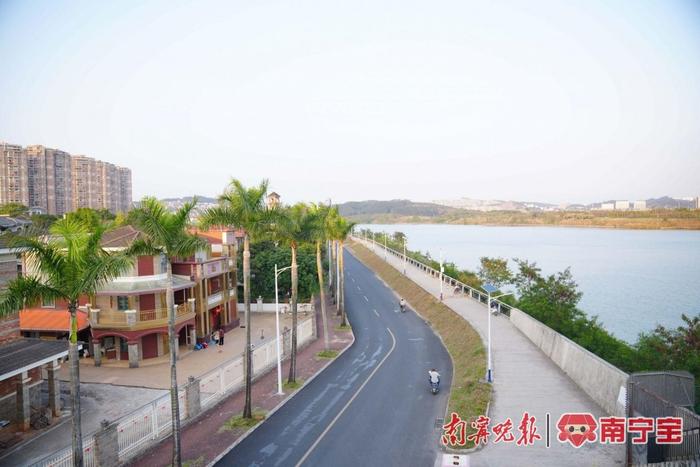 最美街巷：南宁“环岛公路”展现“椰风海韵”风情